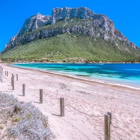 Casa Di Maria - La Pineta Villa Porto San Paolo  Dış mekan fotoğraf